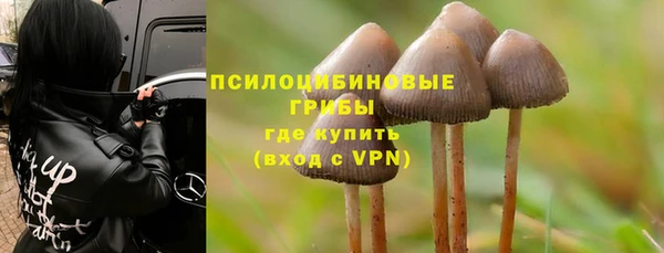 винт Липки