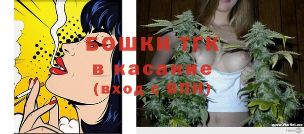 винт Липки