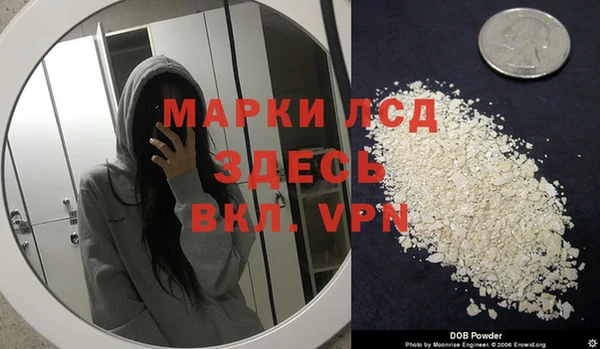 винт Липки