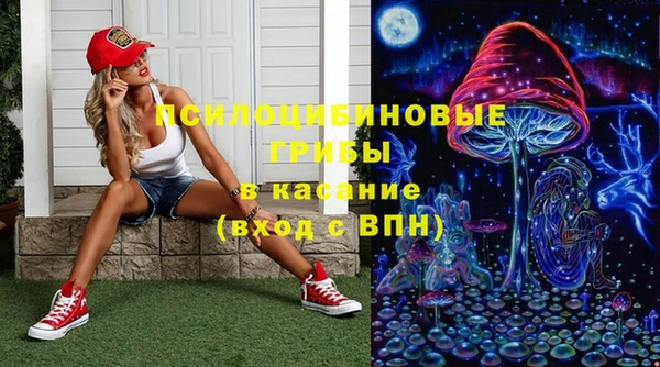 винт Липки