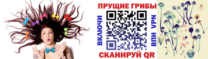 Псилоцибиновые грибы прущие грибы  Саранск 