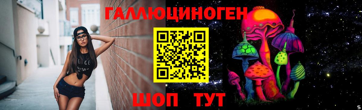 Саранск  Псилоцибиновые грибы Magic Shrooms  что такое наркотик  Вход с VPN  Псилоцибиновые грибы Psilocybine cubensis 