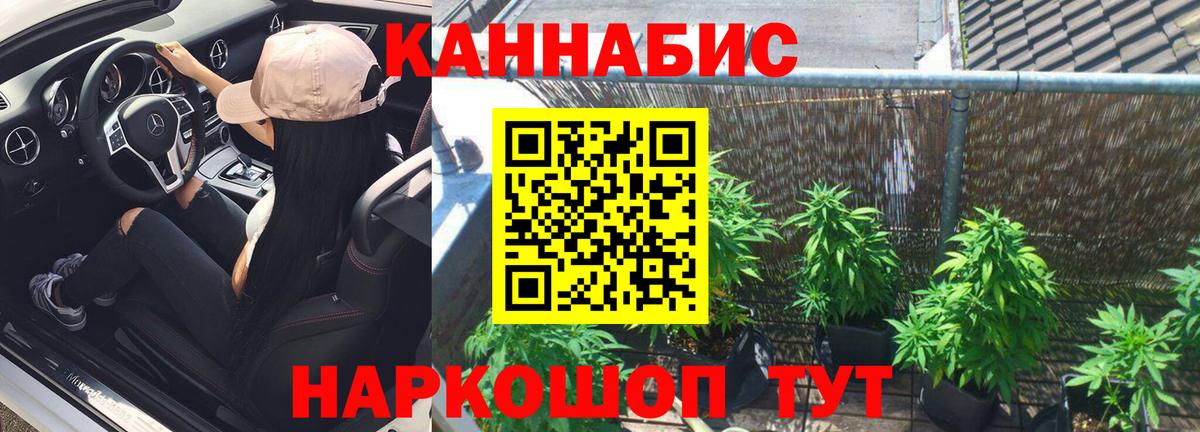 Бошки Шишки MAZAR  Марихуана ГИДРОПОН  Вход с VPN  Саранск  Канабис ГИДРОПОН 